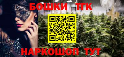 мдпв Татарск