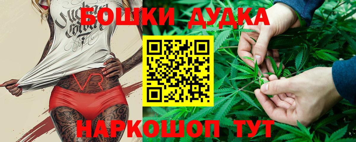 Прохладный  Бошки марихуана OG Kush  Шишки марихуана семена  Вход с VPN  Бошки марихуана семена 